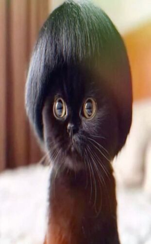 src/1750659218751.jpg: 736x1180, 62 kb