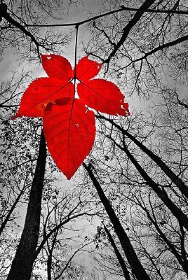 src/1487461787148.jpg: 268x400, 47 kb