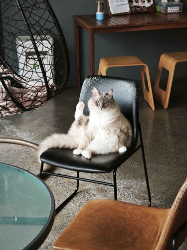 src/1764140995161.jpg: 2736x3648, 661 kb